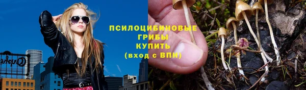 apvp Абаза