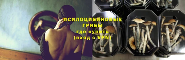 эйфоретик Алексеевка