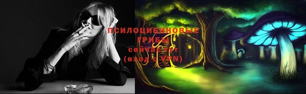 эйфоретик Алексеевка