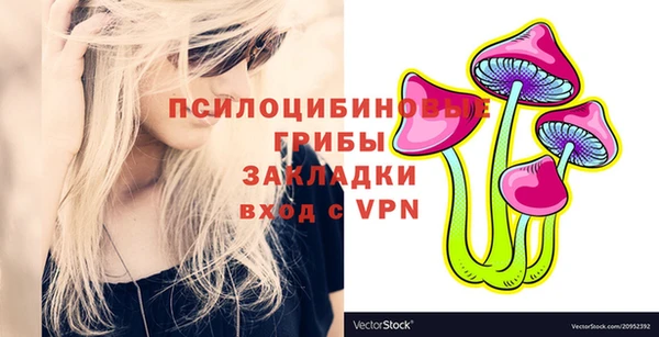 МДПВ Абинск